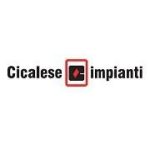 Cicalese logo